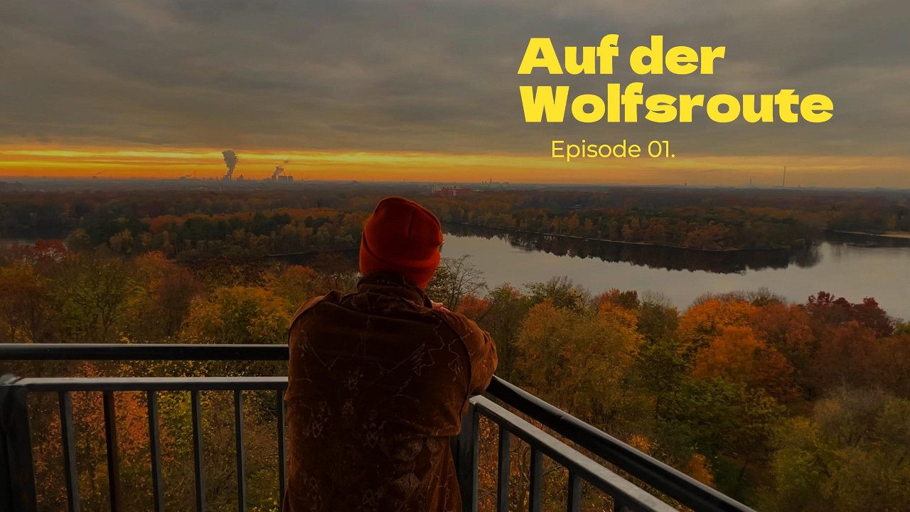 Wölfe im Ruhrgebiet ? Die Spur führt nach Duisburg | Tecah One