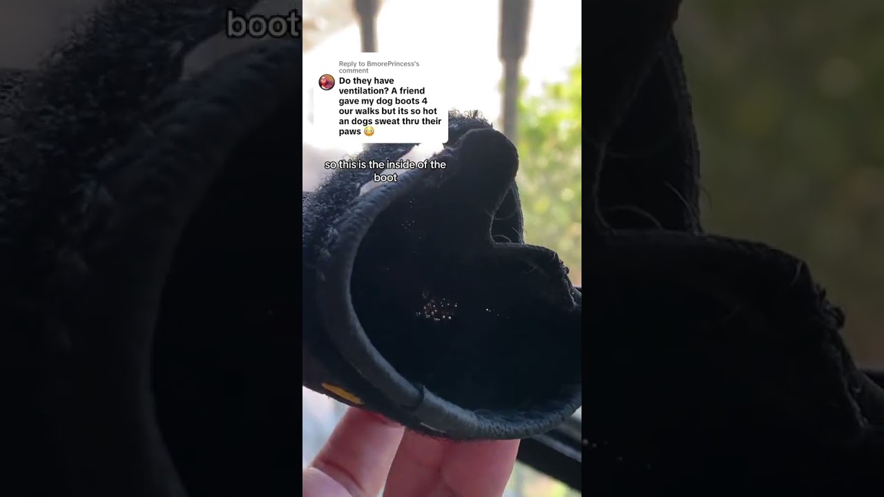 Ruffwear dog boots: ventilation???