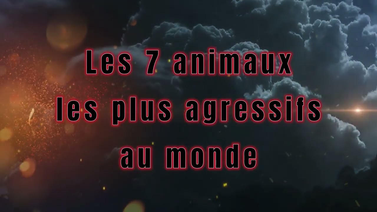 Les 7 animaux les plus agressifs au monde