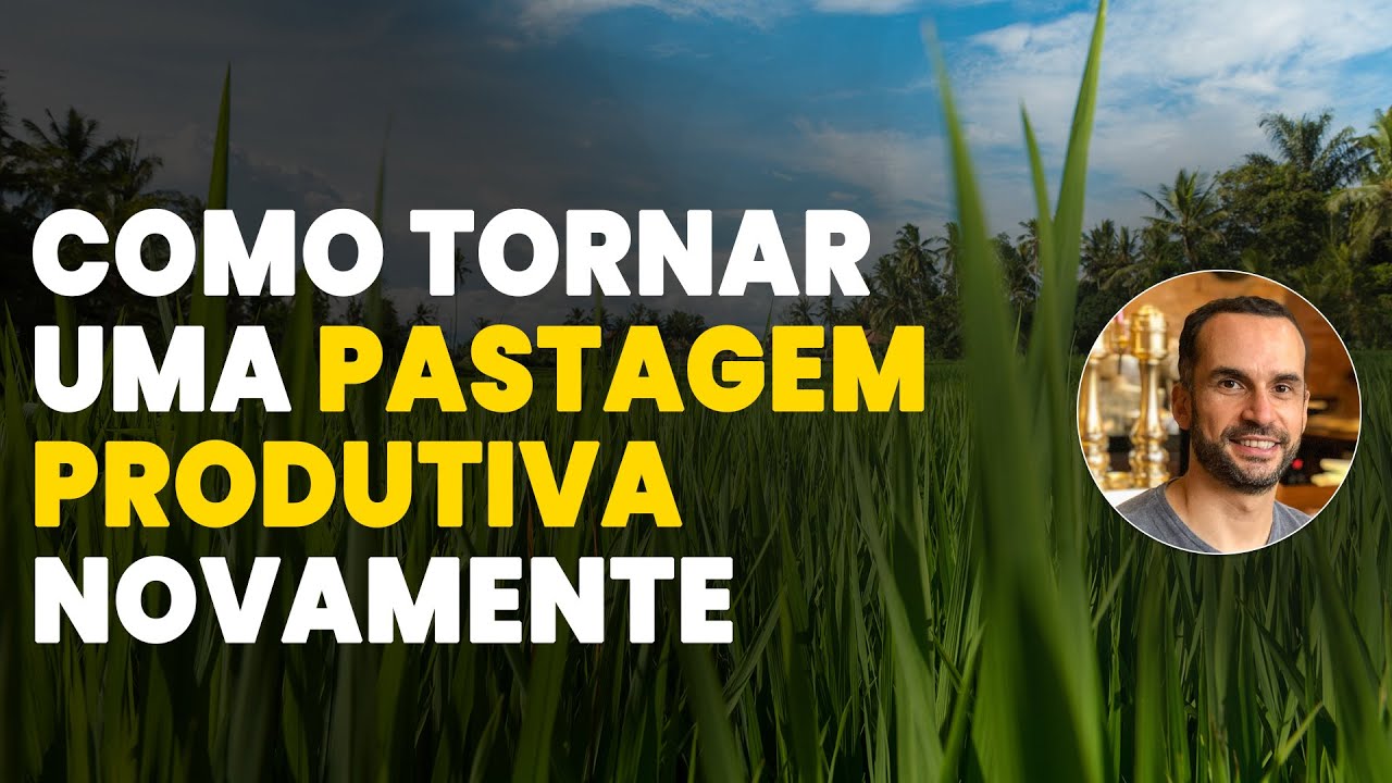 Pastagem Degradada Nunca Mais! Aprenda a Recuperar do Jeito Certo!
