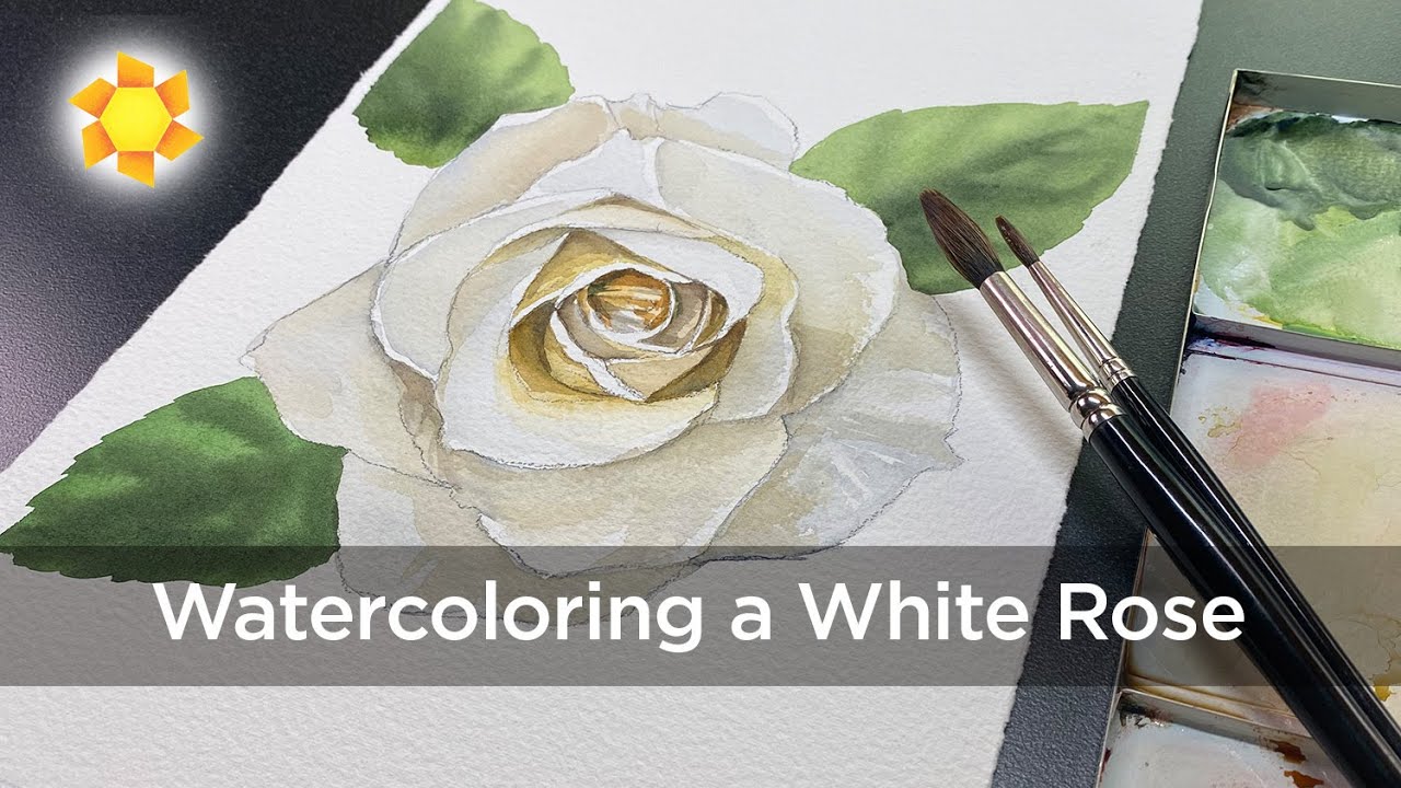 Part 2: Watercoloring a White Rose (Glazing tips)