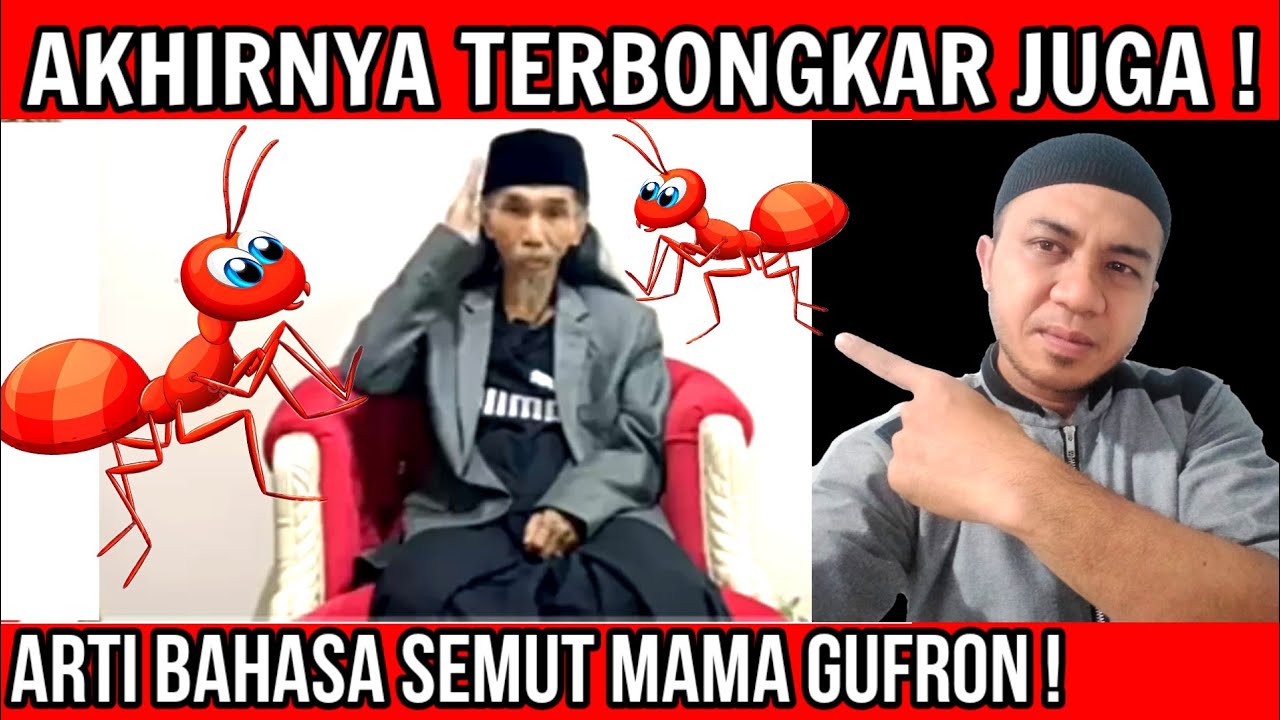 Terbongkar ! Ternyata ini Arti Bahasa Semut Abuya Mama Ghufron