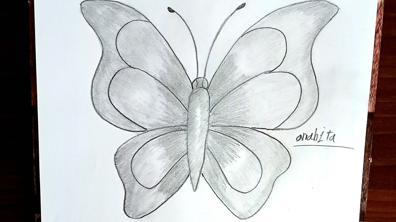 ۱۵ دسامبر ۲۰۲۵How to Draw a Butterfly Easily ✏️ | Step-by-Step Pencil Drawing for Beginners