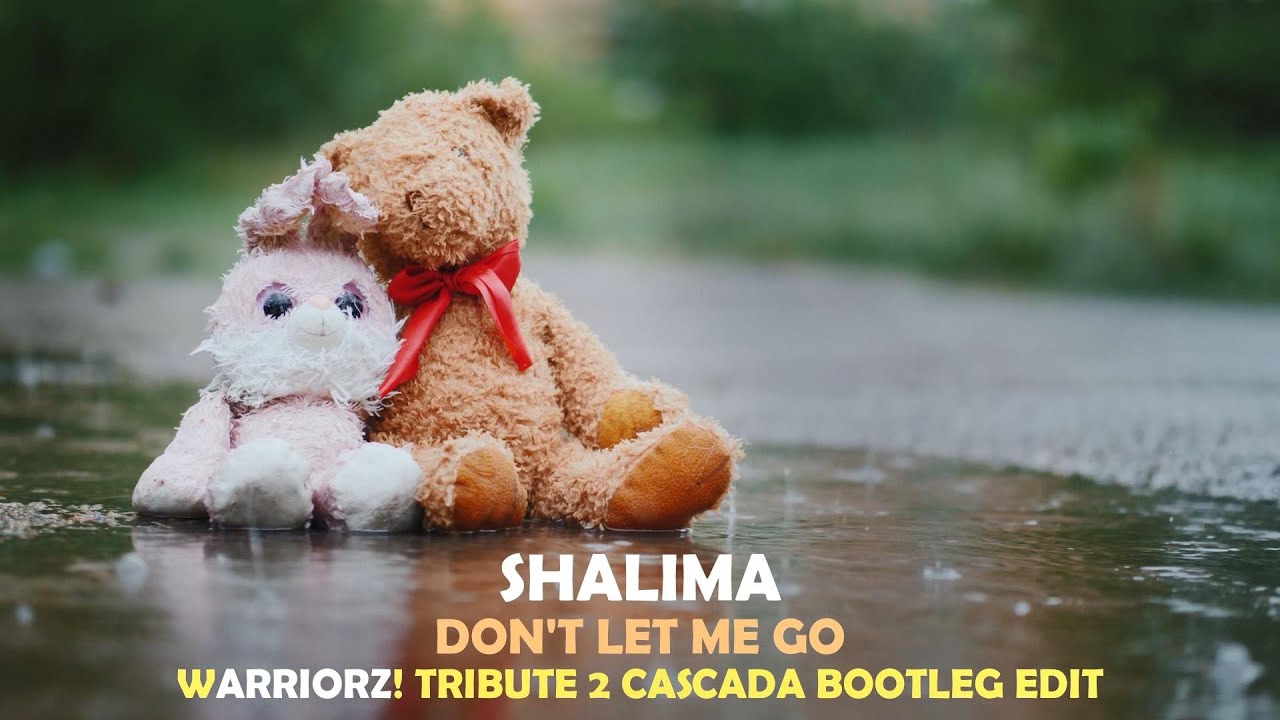 Shalima - Don't Let Me Go (Warriorz! Remix) (2021)