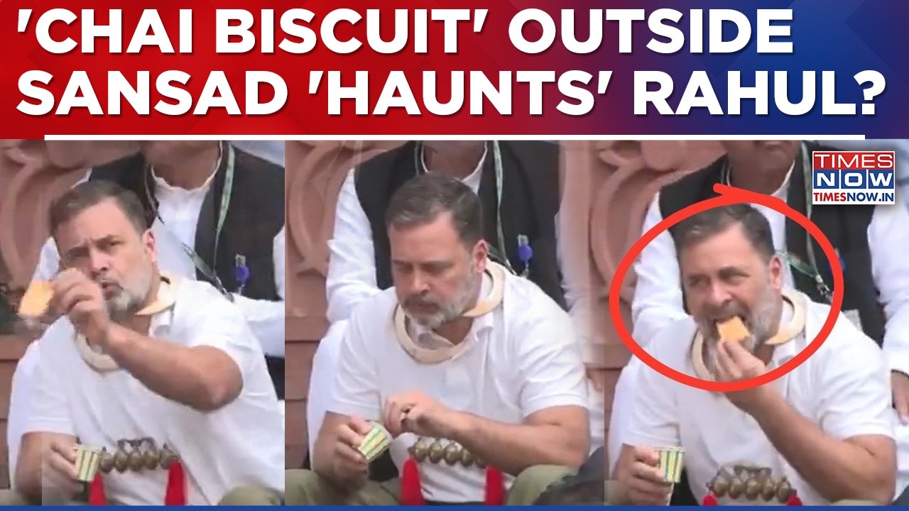 Rahul's 'Tea Time' With MPs At Makar Dwar Sparks Outrage, Civil Society Members Write Open Letter