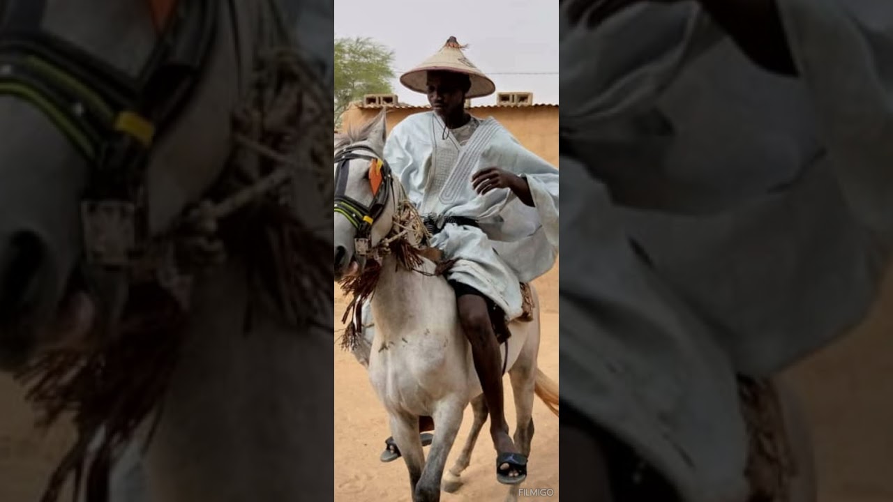 Le cheval Jaguodine.