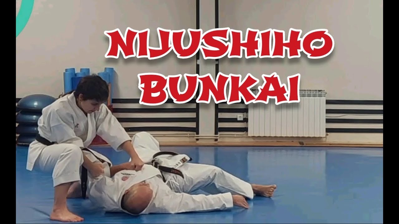 🔥 NIJUSHIHO KATA BUNKAI 🥋👊 #karate #kata #shotokan #bunkai