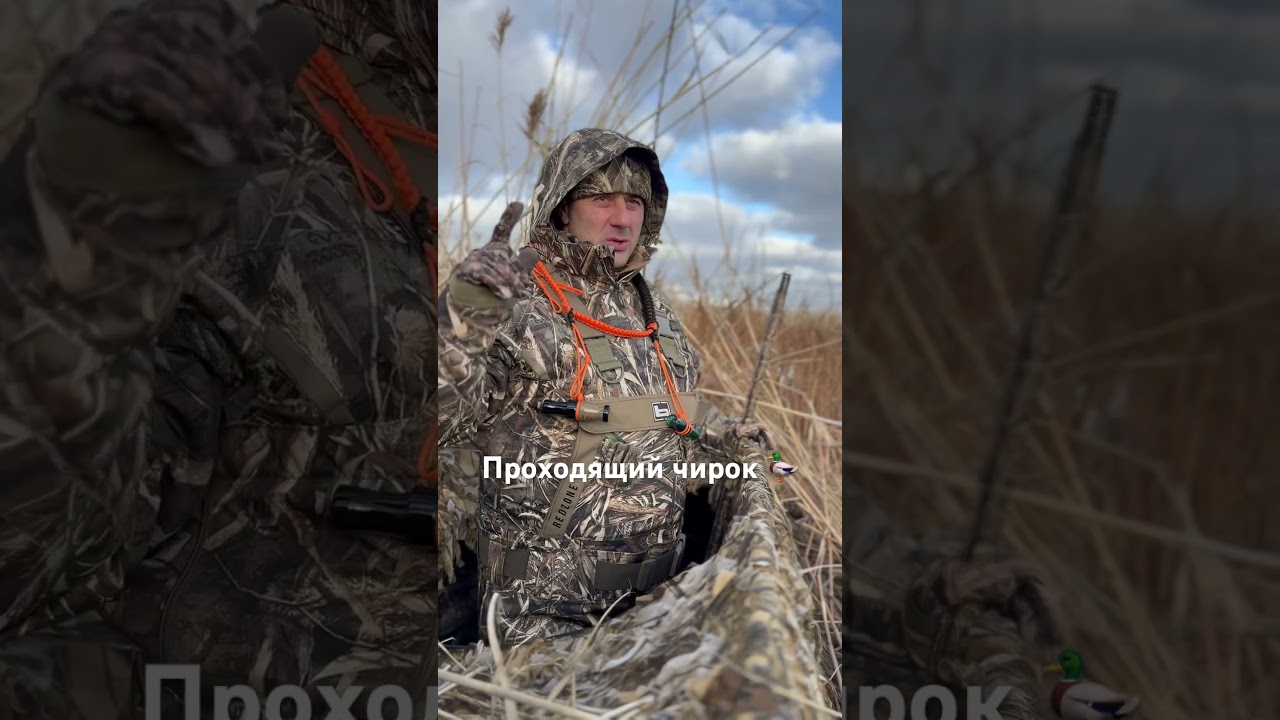 WILD DUCK🦆2020🦆HUNTING CLUB #wildduck #duckhunter #hunter #wildduck2020 #WD #охота