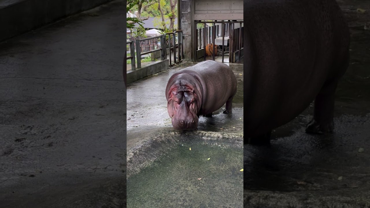 2026/02/08 兒童王國