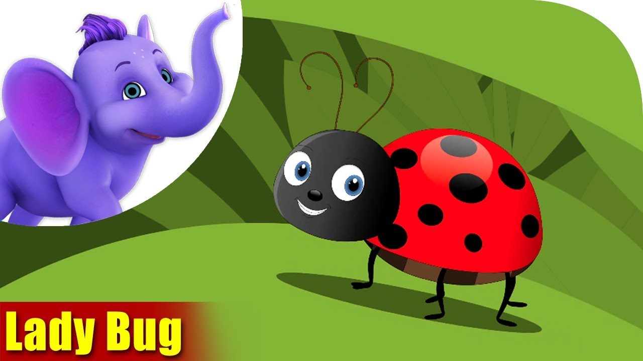 Lady Bug | A Bug Song | 4K | Appu Series