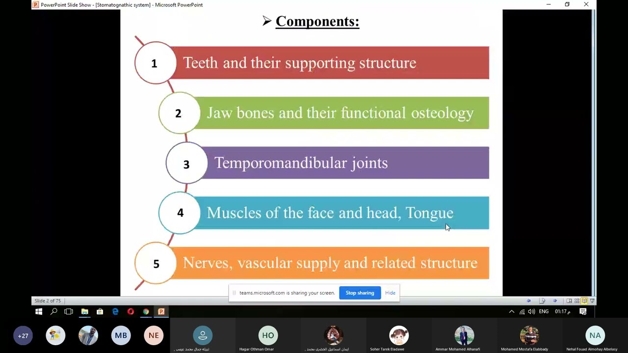 26. Stomatognathic system part 1