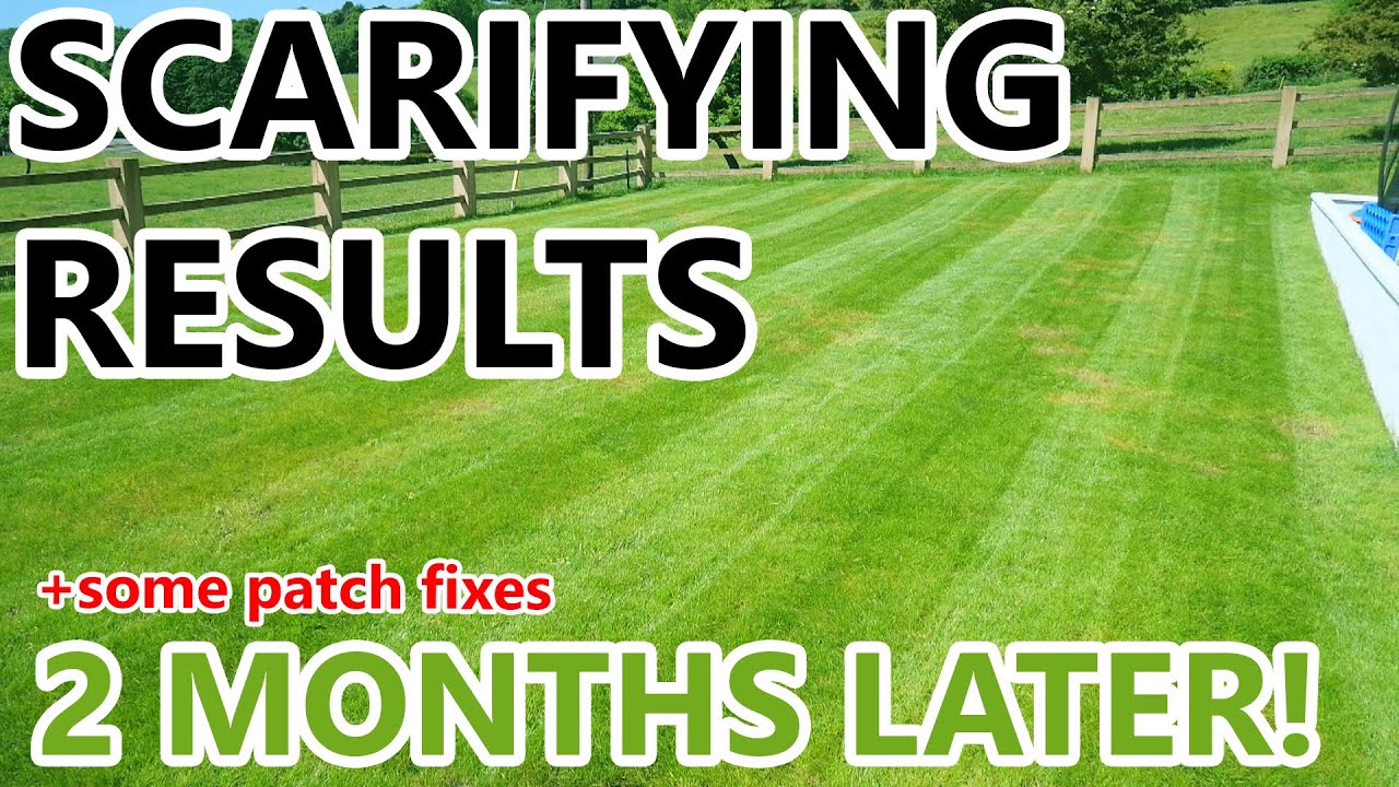Transforming My Lawn: Check Out The Amazing Results Of Scarification After 2 Months!
