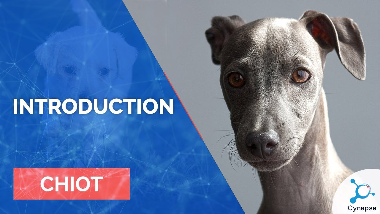 Introduction - CHIOT