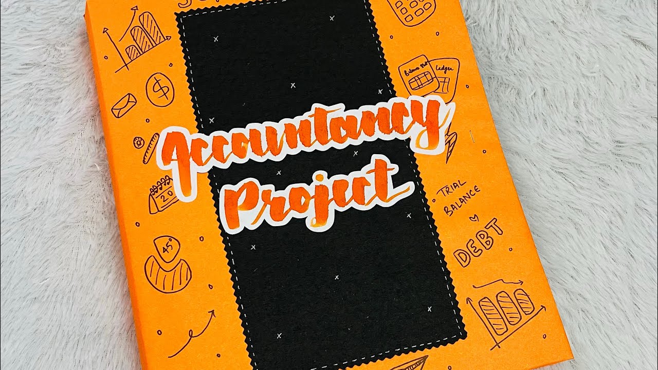 Project on ratio analysis of Ola and rapido | accountancy project | craftstories_by_hk