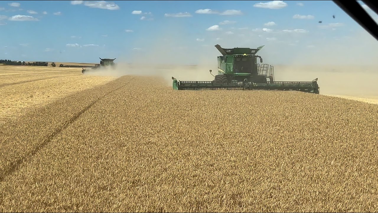Day 9 (7/31) - Highwood, Montana Harvest