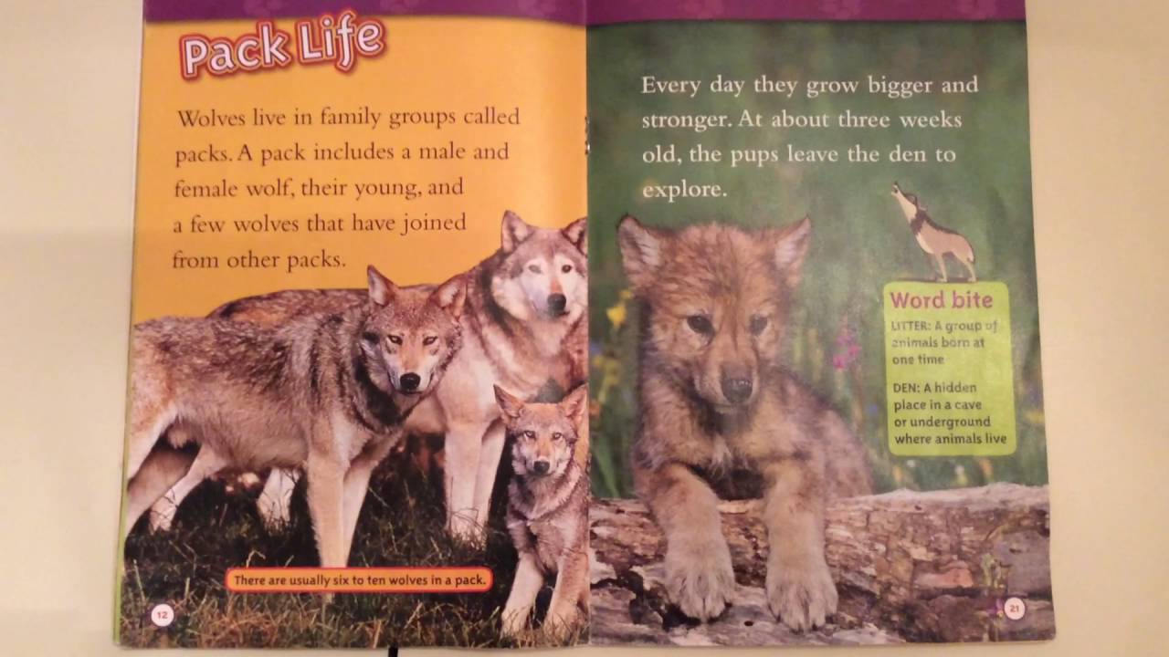 Wolves By: Laura Marsh, Narrated by: Ms. Morton, Reading Level M