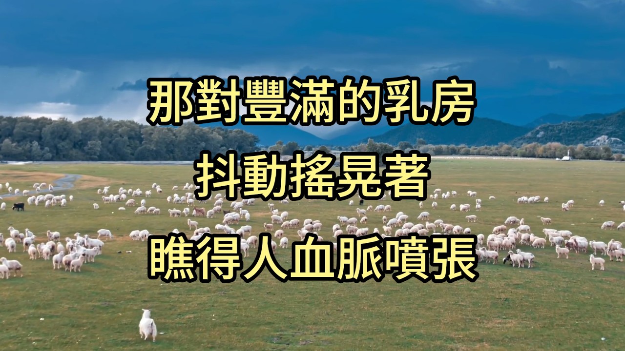 #講故事 #故事分享 #故事頻道 #婚姻 #兩性 #人生感悟 #心靈成長