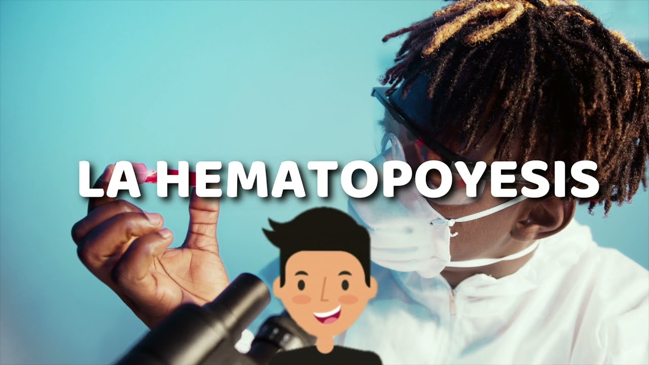 Hematopoyesis