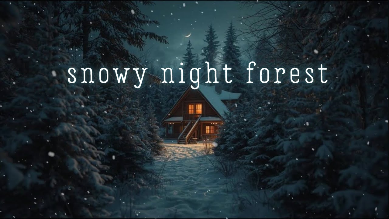 Winter Night Forest Ambience  I Gentle Wind, Creaking Trees & Distant Night Bird Sounds