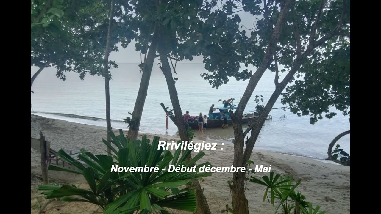 Bienvenue à Koh Phi Phi, l’une des plus belles îles de Thaïlande 🌴