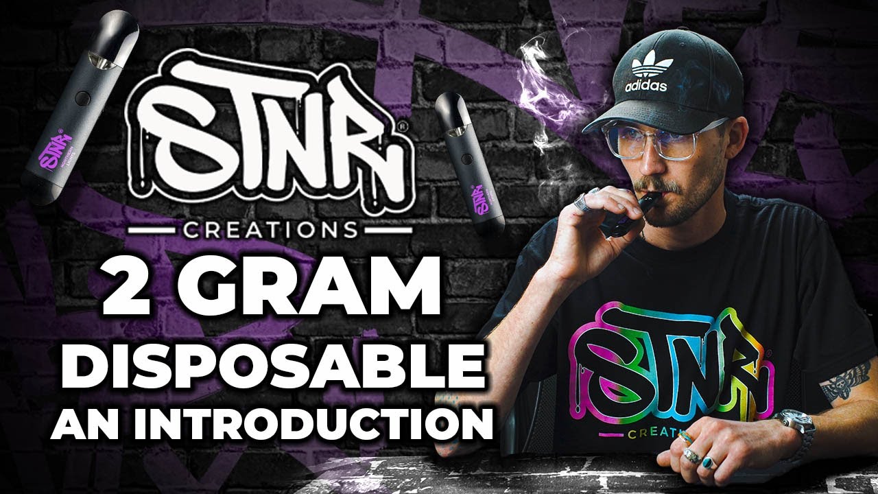 STNR Creations 2 Gram Disposable | An Introduction