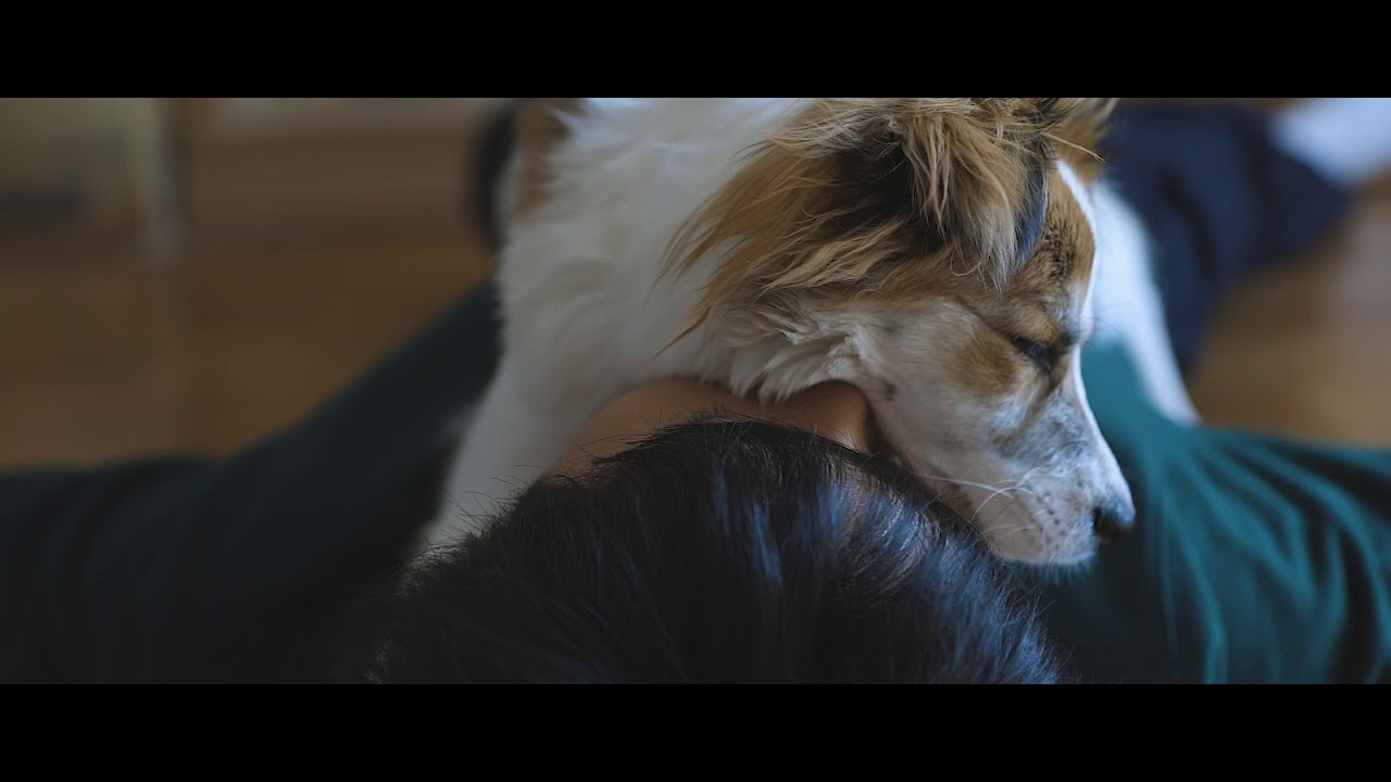 제이보 Zayvo '무섭고 초라해 (Scared to be alone)' MV