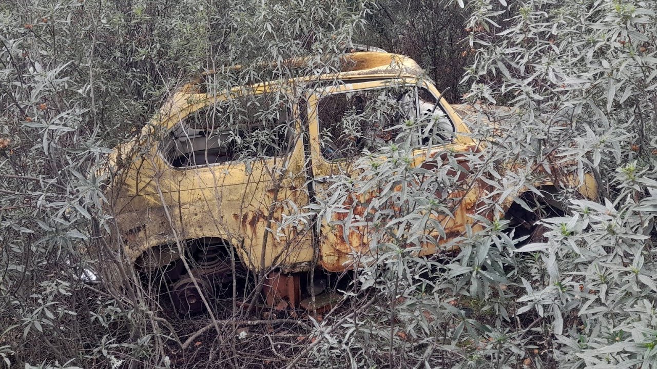 Seat 600 E en el Monte
