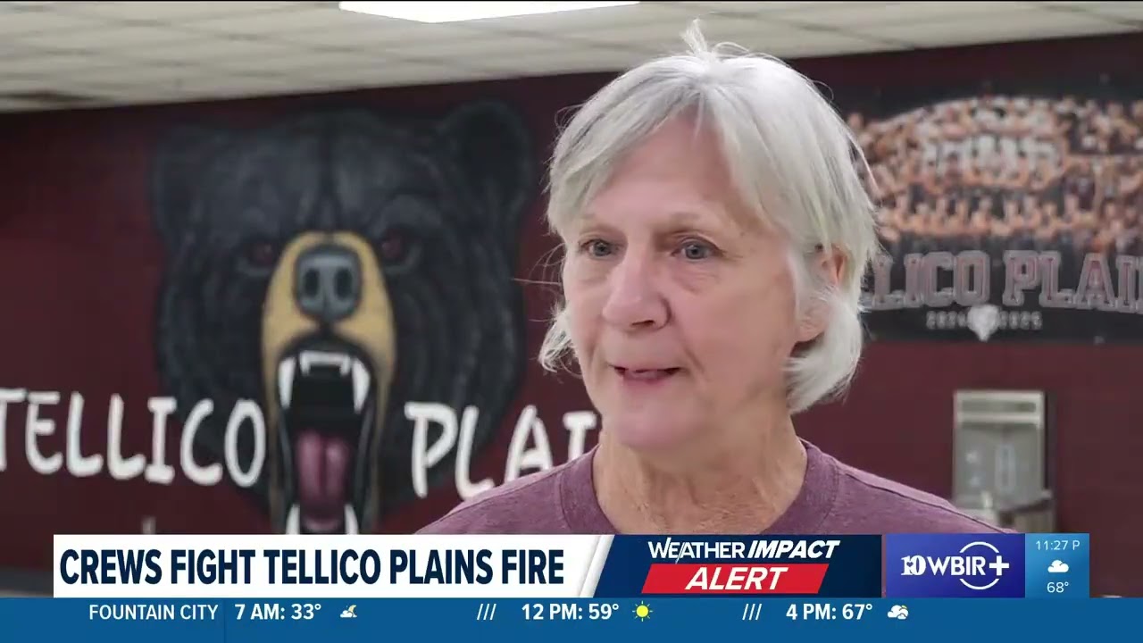 Tellico Plains fire-March 2025