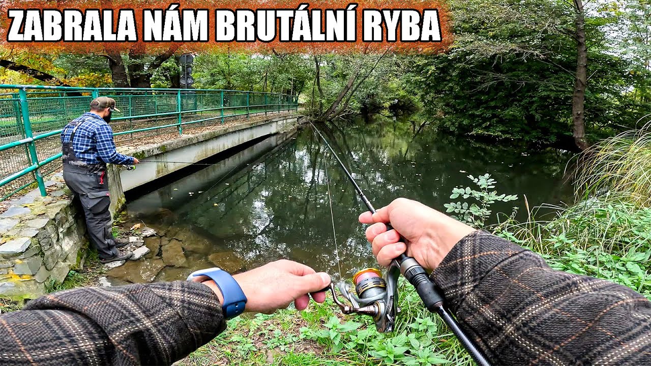 Obří ryba nám zabrala při lovu okounů / Průzkumu přírodních meandrů nám ukazuje kouzla přírody
