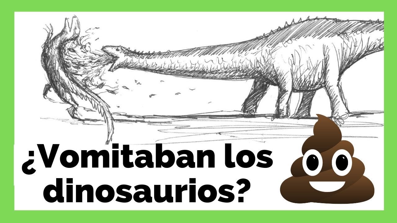 Geología en el baño: Roca, Caca, Pota, Pis
