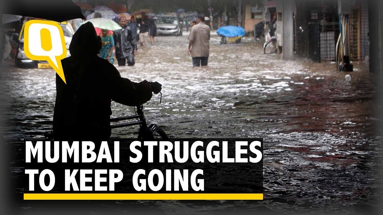 After Maximum Rain in 12 Years, Mumbai Limps Back to Normalcy