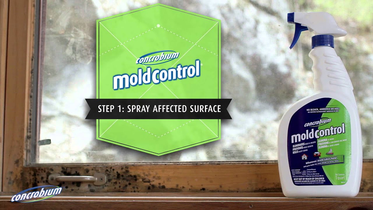 Concrobium Mold Control:  Indoor Mold Fighting Guide