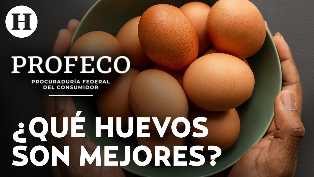 ¿Cuáles son las mejores y peores marcas de huevo según Profeco? ¡Descúbrelo aquí!