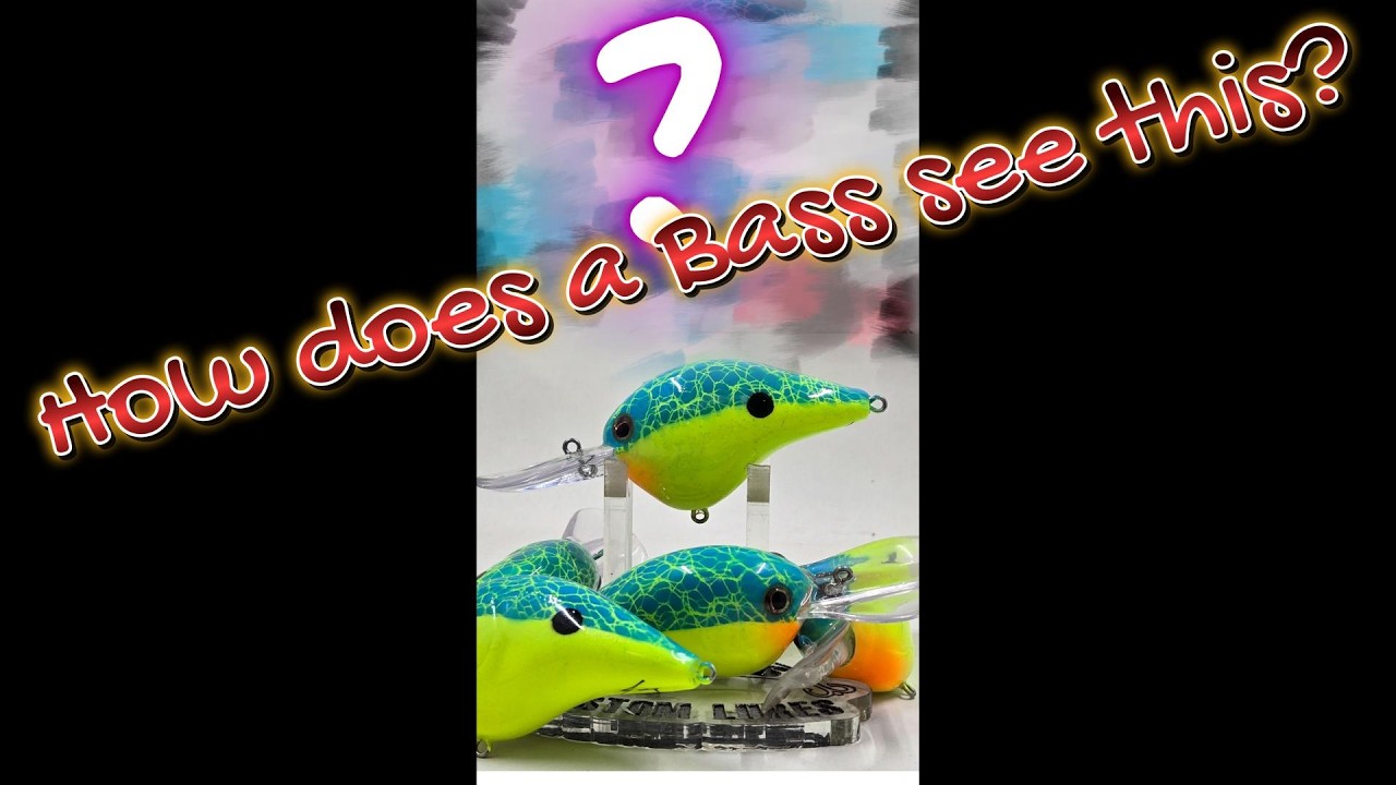 What a bass can see compared to what we see.