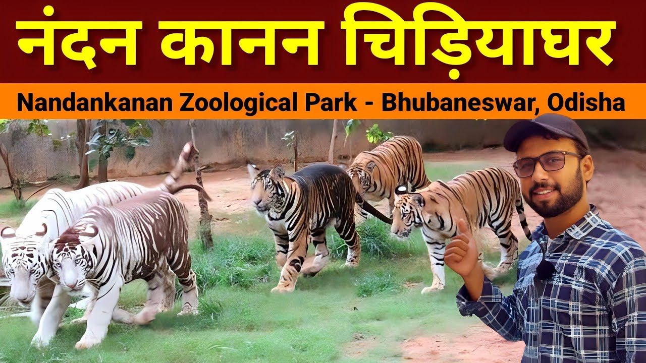 Nandankanan | Zoological Park | Bhubaneswar - Odisha | Nandankanan  jungle safari | Chidiyaghar zoo