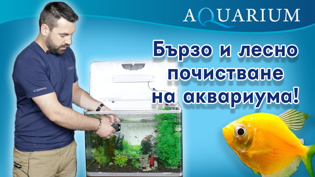 Бързо и лесно почистване на аквариума! Как да си почиствим аквариума?