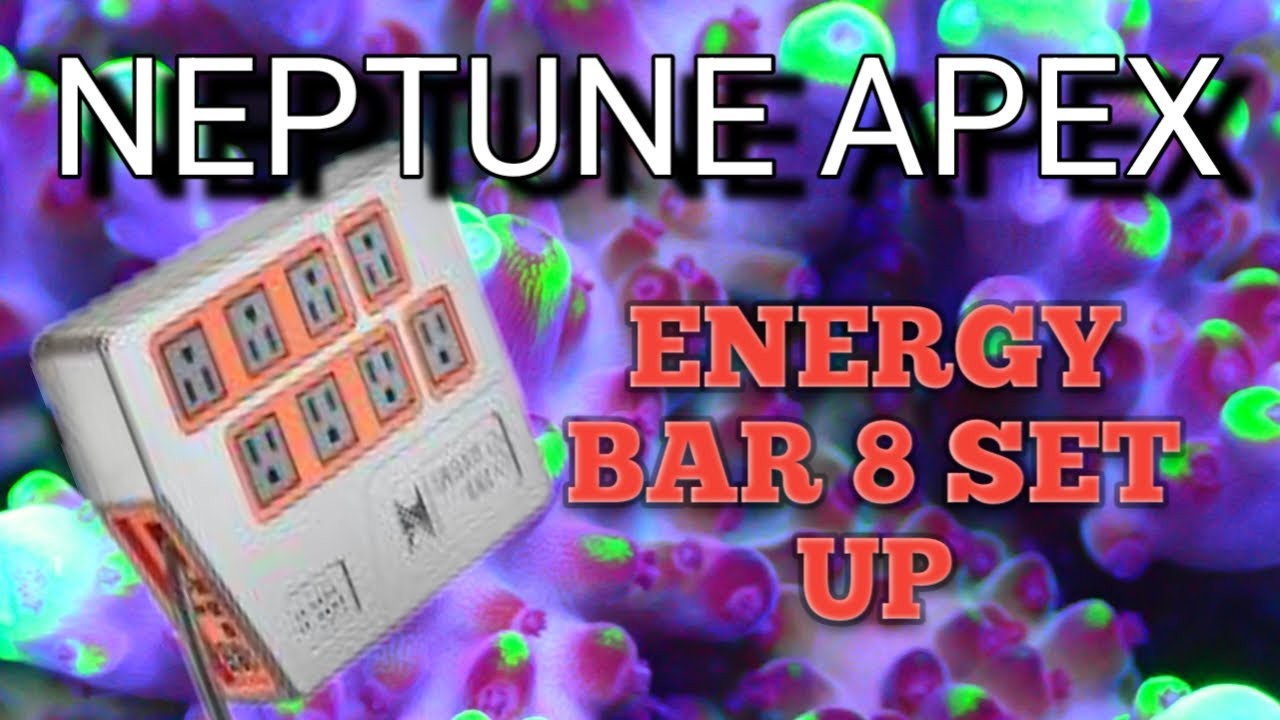 Энергетический батончик Neptune Apex 8 | Настройка