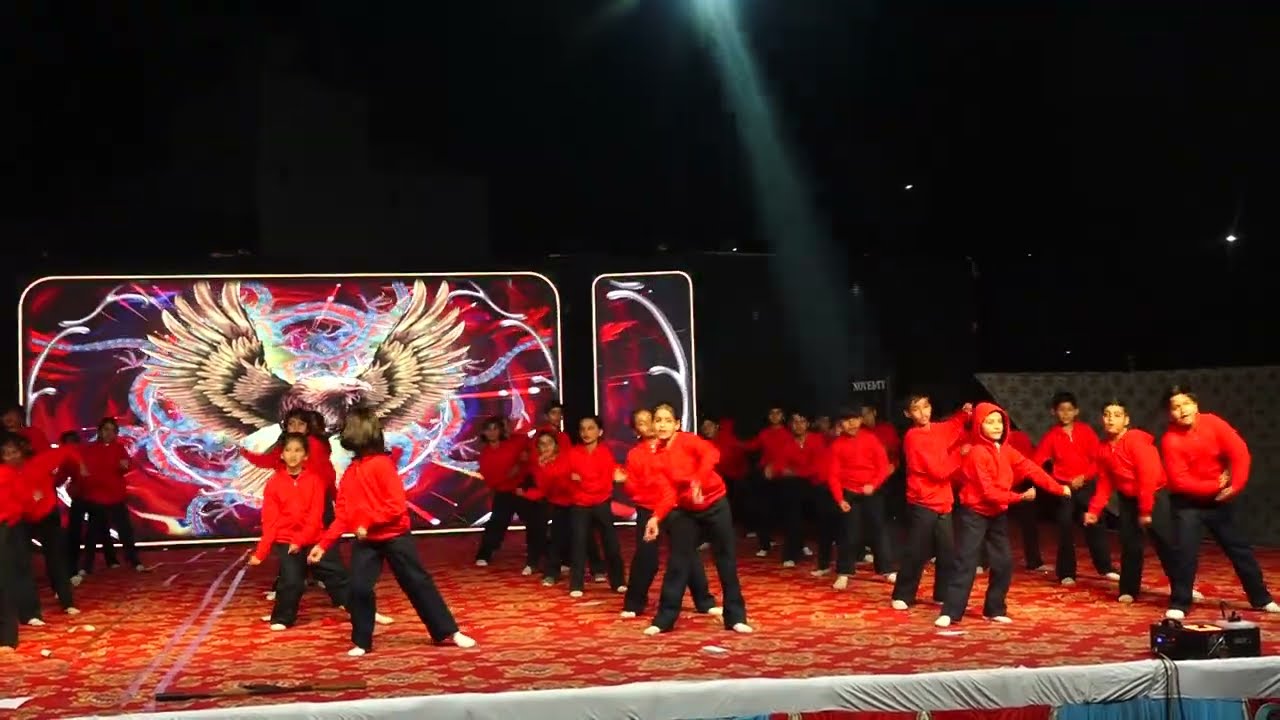 WAVE YOUR FLAG DANCE PERFORMANCE DDIS BARMER