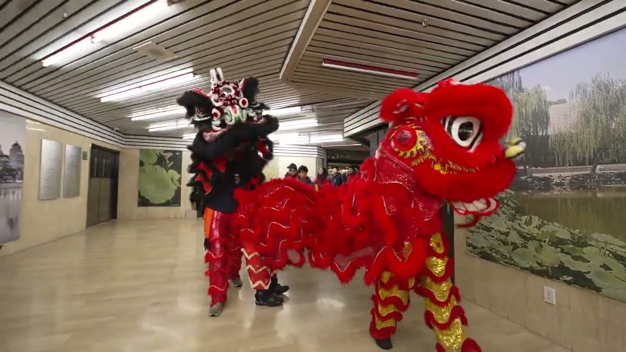 Finaly Stop for the lion dance