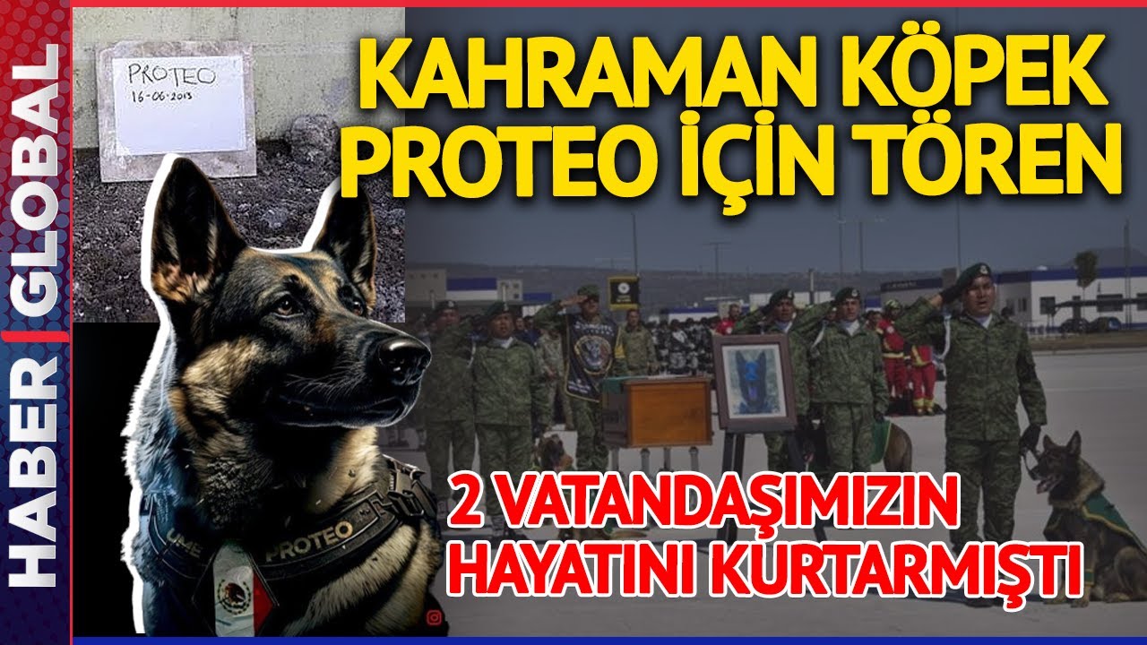 Sana Minnettarız! Adıyaman'da Hayatını Kaybeden Meksikalı Kahraman Köpek Proteo İçin Anma Töreni