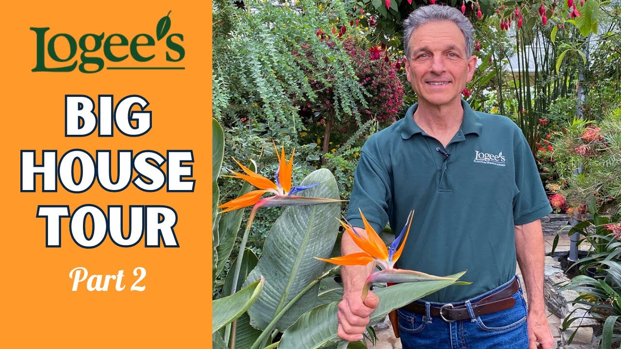 A Tour of Logee's Newly Renovated 