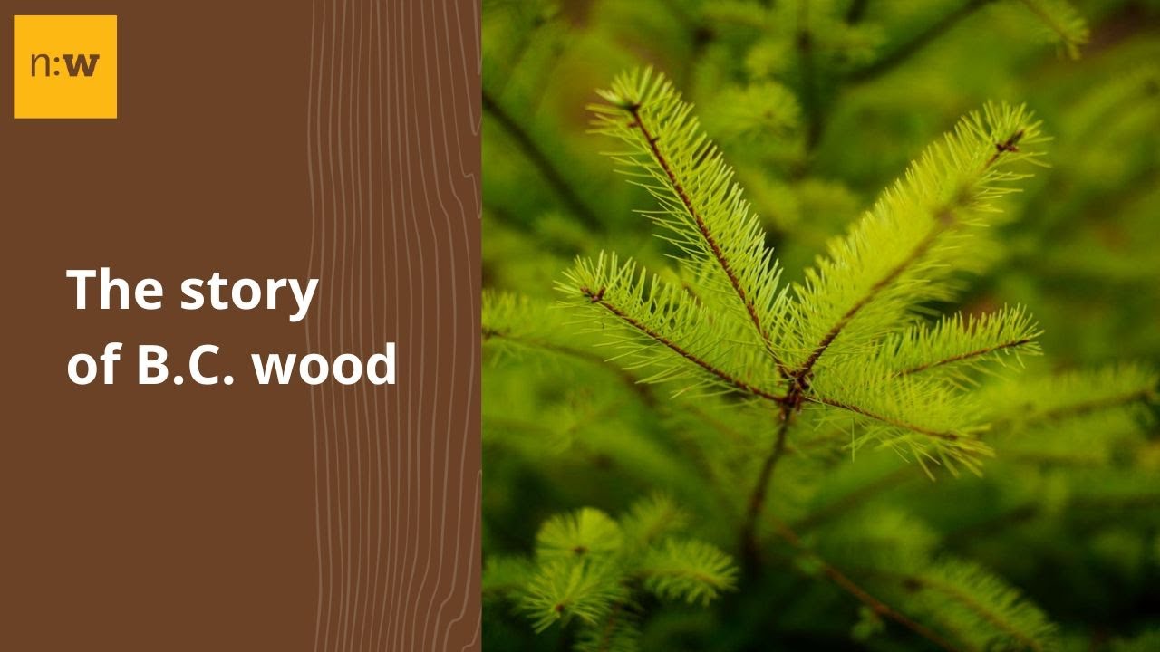 The Story of B.C. Wood