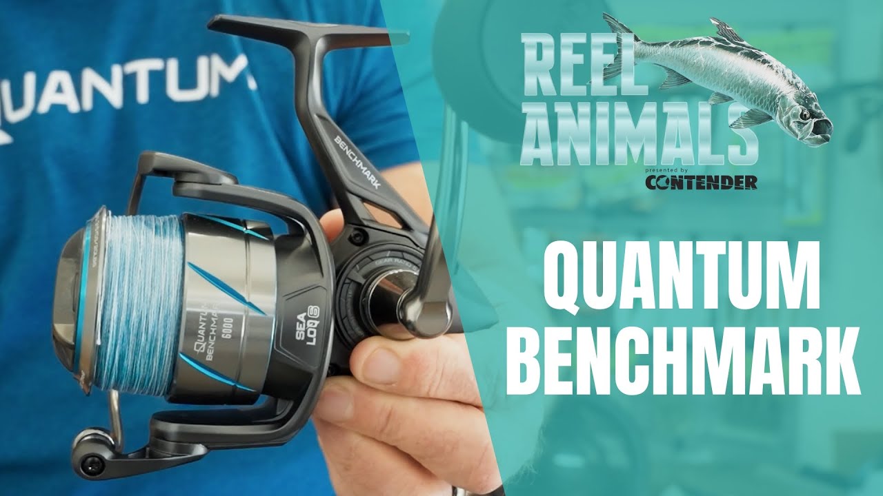 These Are My Favorite Reels | Reel Animals Fishing