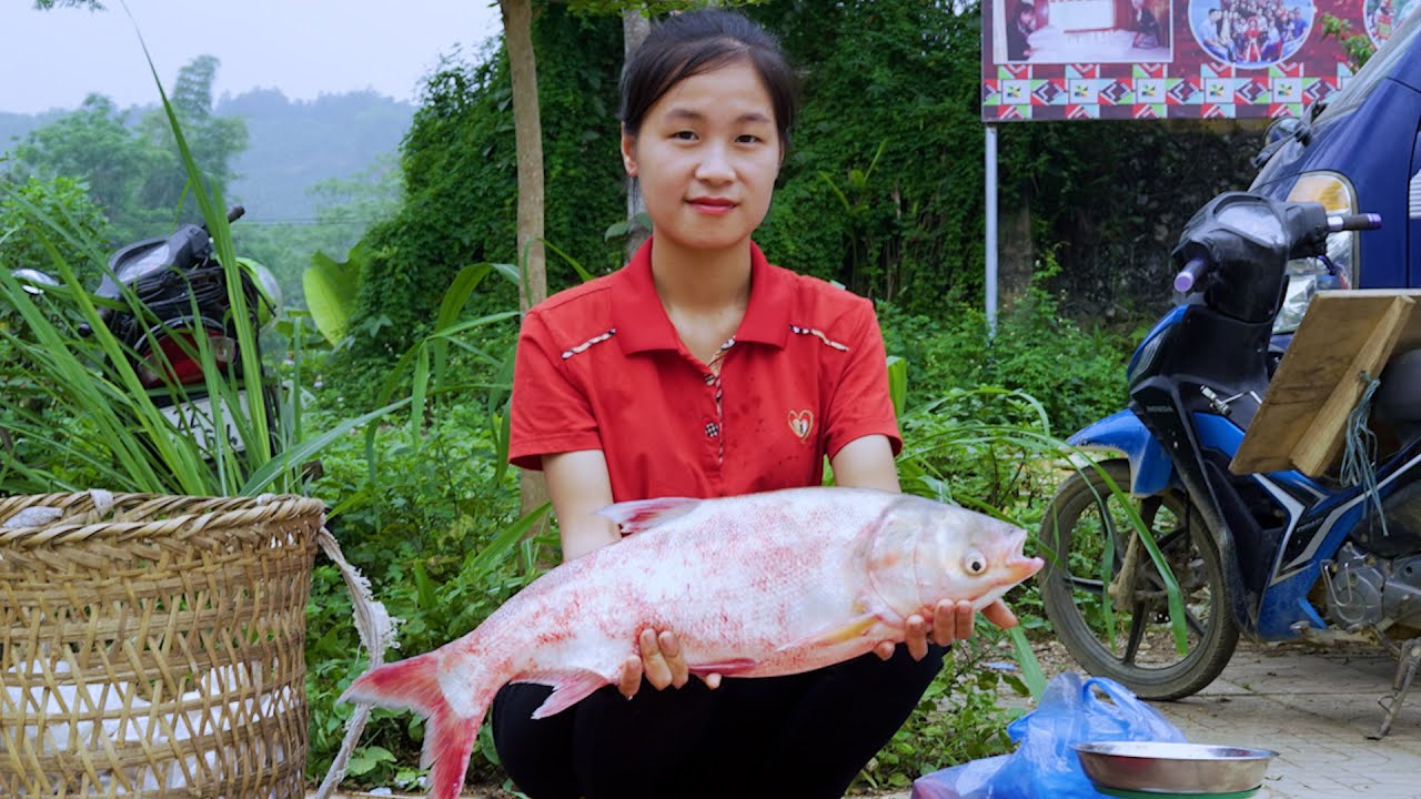 Ella Harvesting Fishs Go to the market to sell