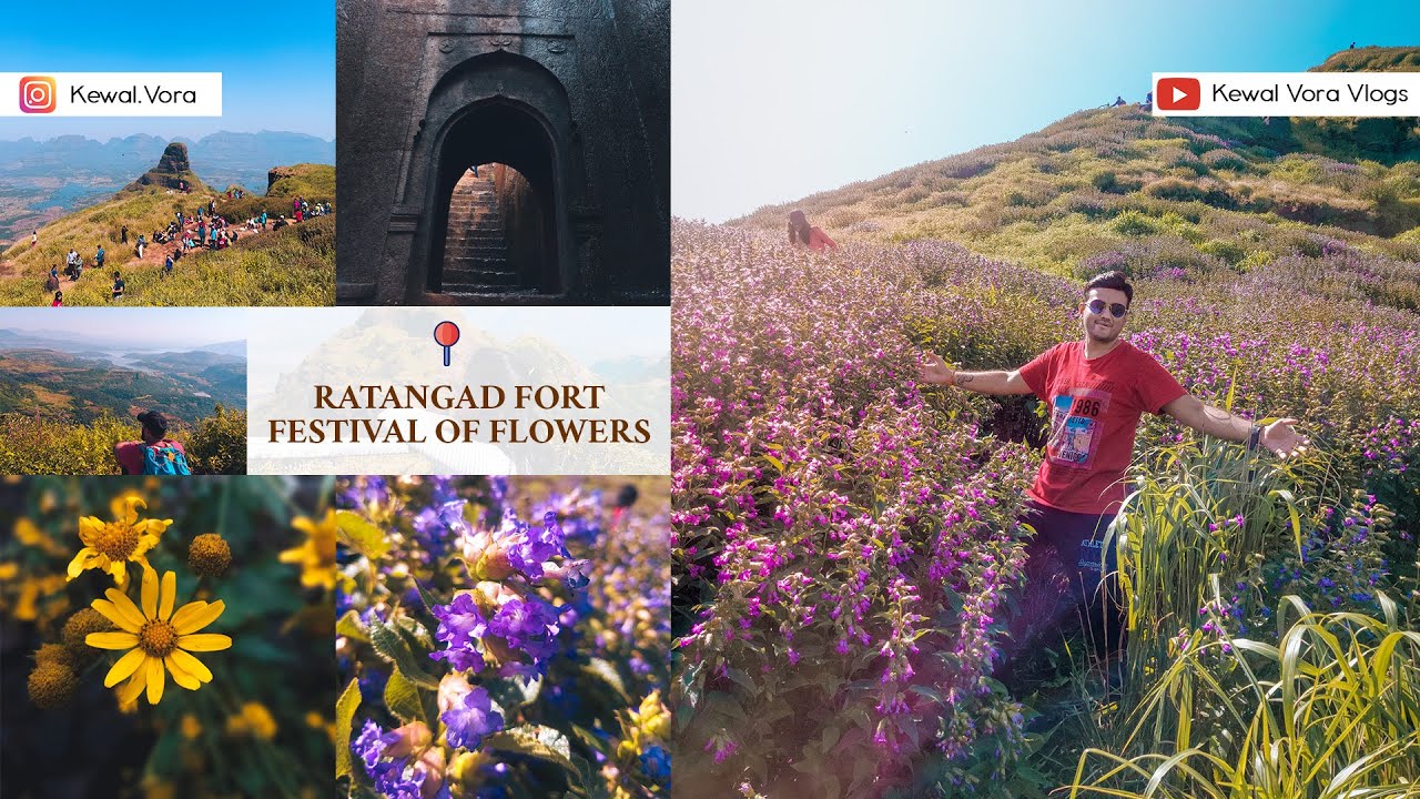 Ratangad Fort Trek | How to reach Ratangad Fort | Flowers that grow once in 7 years | Sahyadri Jewel