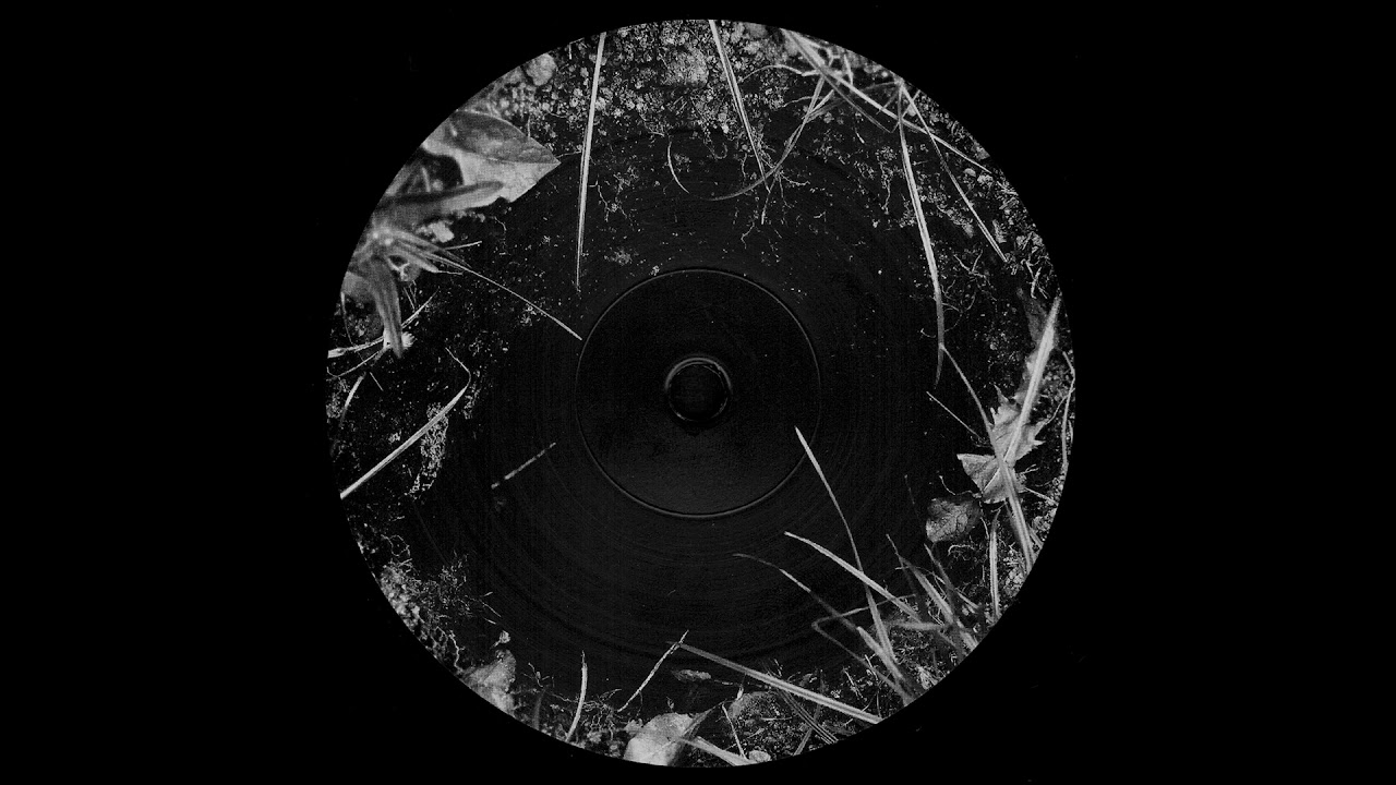 Dwig - Night Time Is Right Time