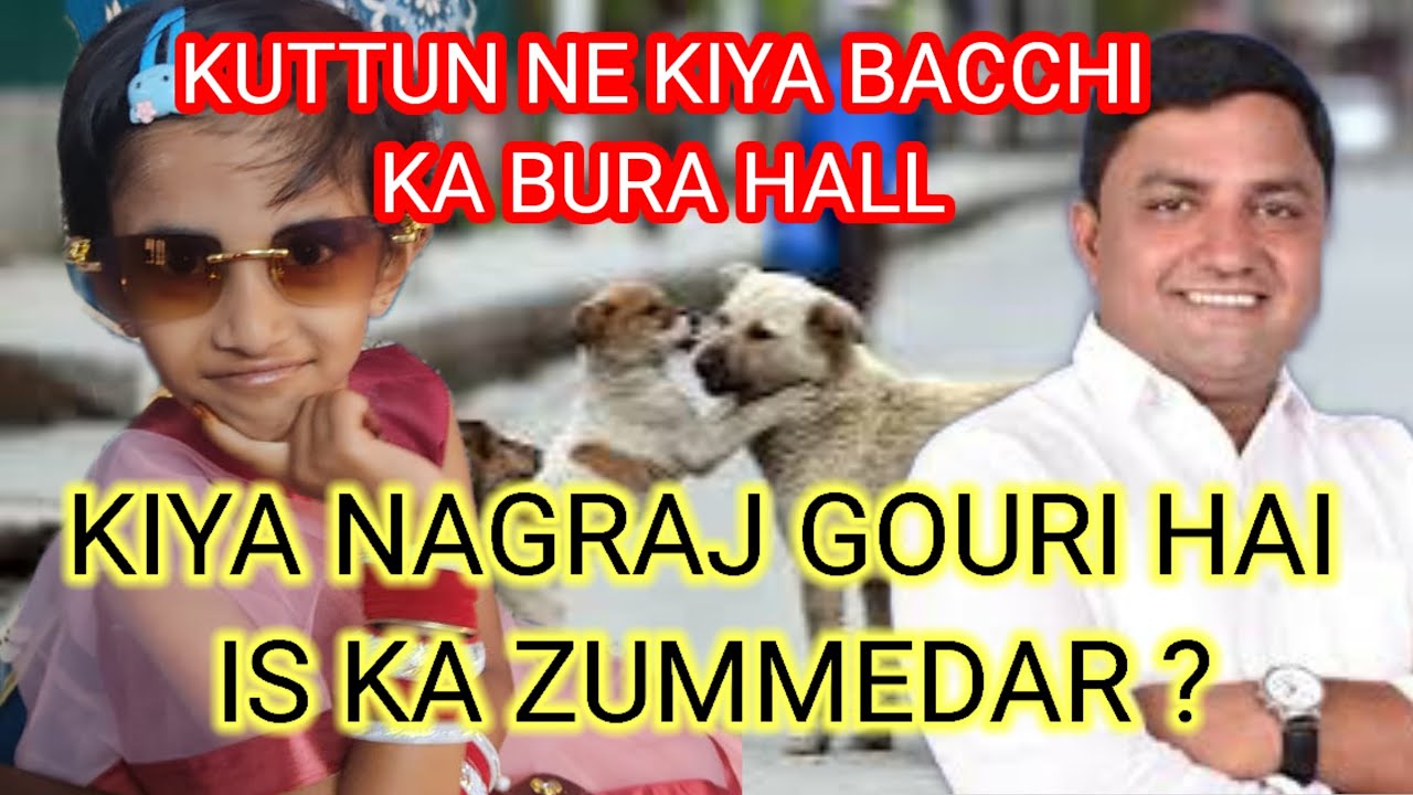 HUBLI !! KUTTUN KA ATANK BAL BAL BACHI BACCHI !! SHIMLA NAGAR !! KOUN HAI ZUMMEDAR ?? 