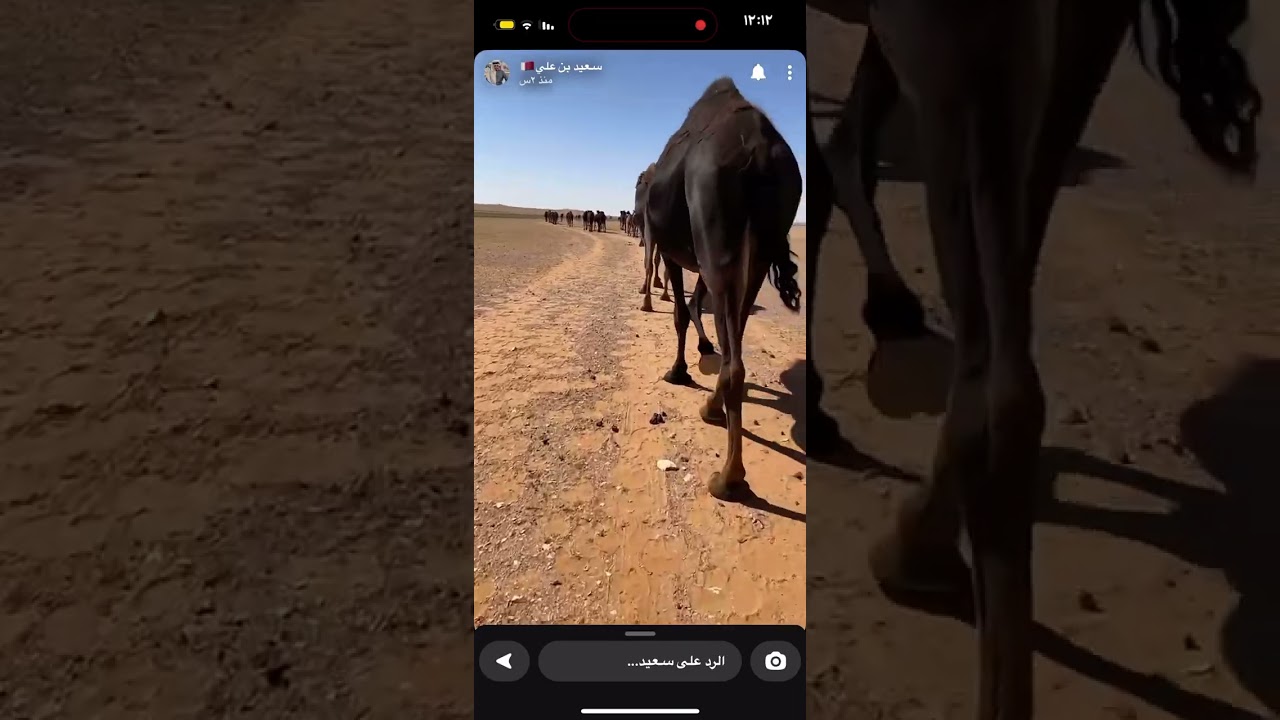 قهيدان الشاوي.