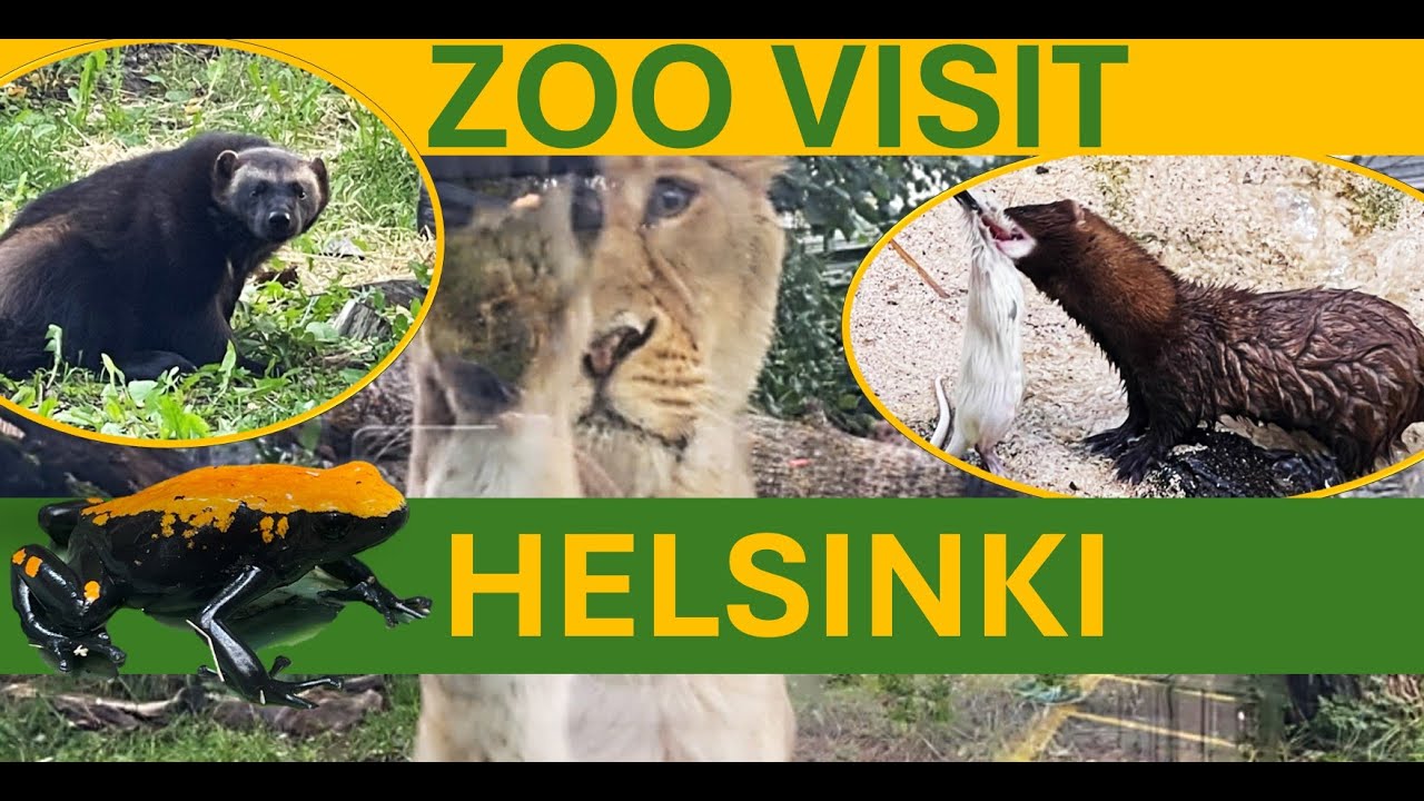 Хельсинкский зоопарк в Финляндии