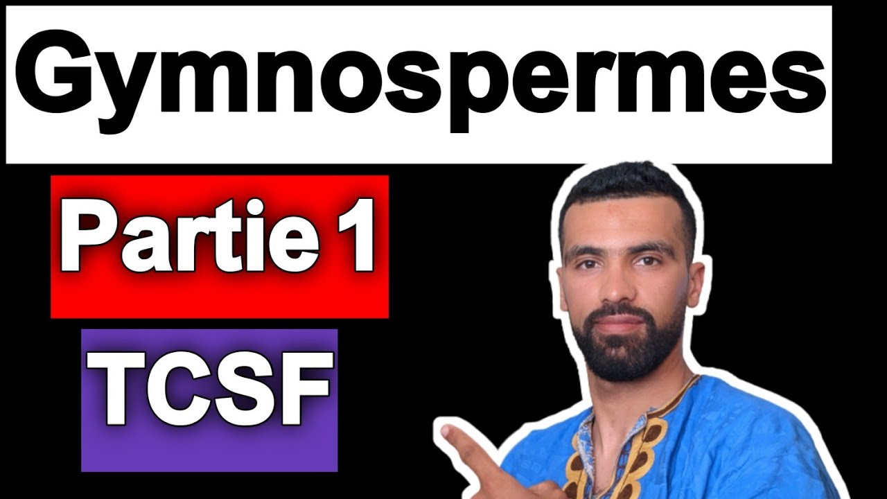 SVT - la reproduction sexuée chez les plantes à fleurs tronc commun | les gymnospermes partie 1